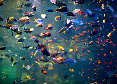 �������� ������Ȼ�Ķ�����Ȼ֮����