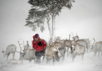 ����������������