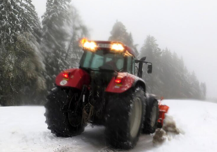 �¹������轵 �ϲ���ѩ��15���׺�