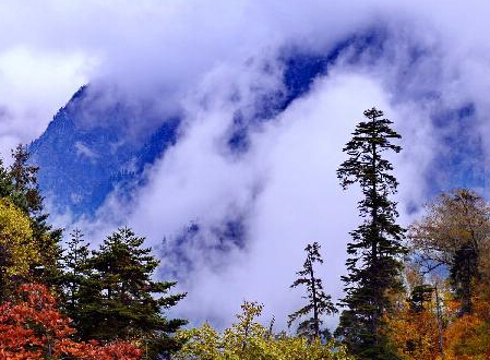 ������֥��⡱