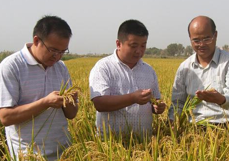 �½�����һ��146Ķˮ��������ȫ����߼�¼��