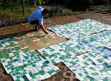 江西200万张高速公路通行卡分批次“洗澡””