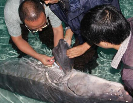 2014���л����Ӷ���ȫ�˹���ֳ��ɹ���