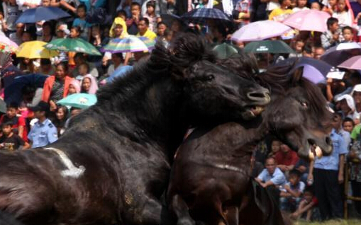 ��������ɽ�ٰ�«�϶����� ��������ͬ��ʢװ���족