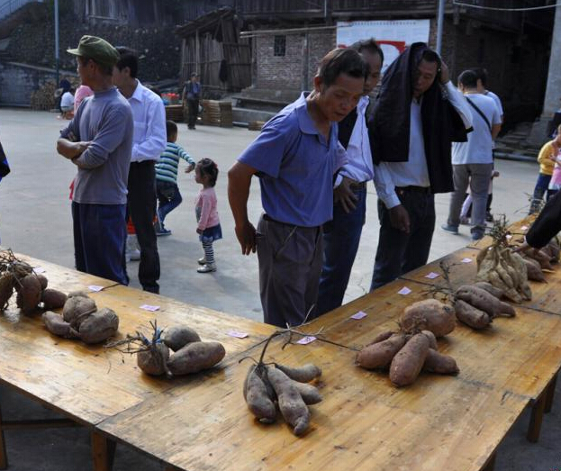 ǧ�궱կ���������ٰ������Ϊ������ѡ������