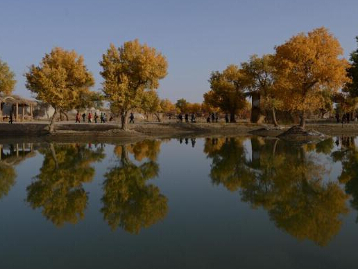 �½�����ľ���ɳĮ������ɫ����������ˡ�