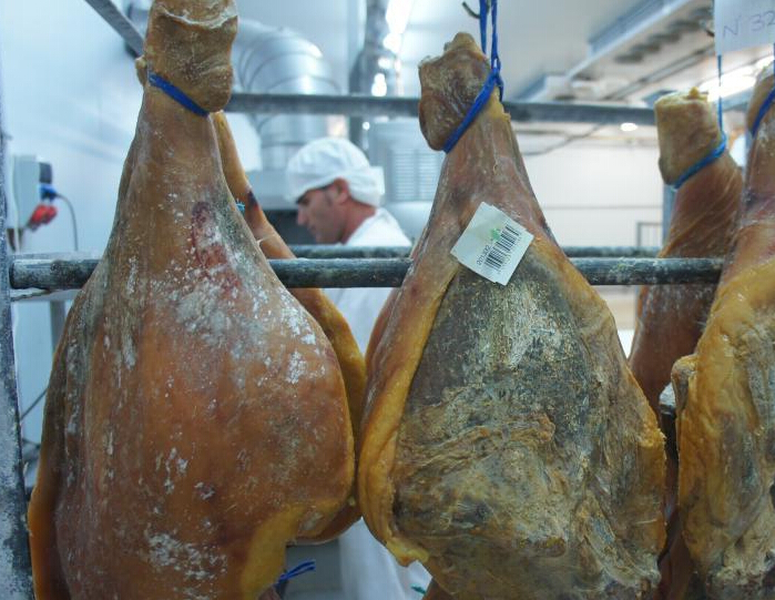 ̽�����������ȹ��� ��ѡԭ���������߱��ϡ�