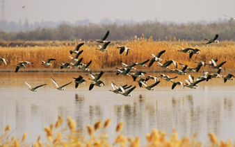 ��ǧֻ������Ϣ�����������ʪ�ء�