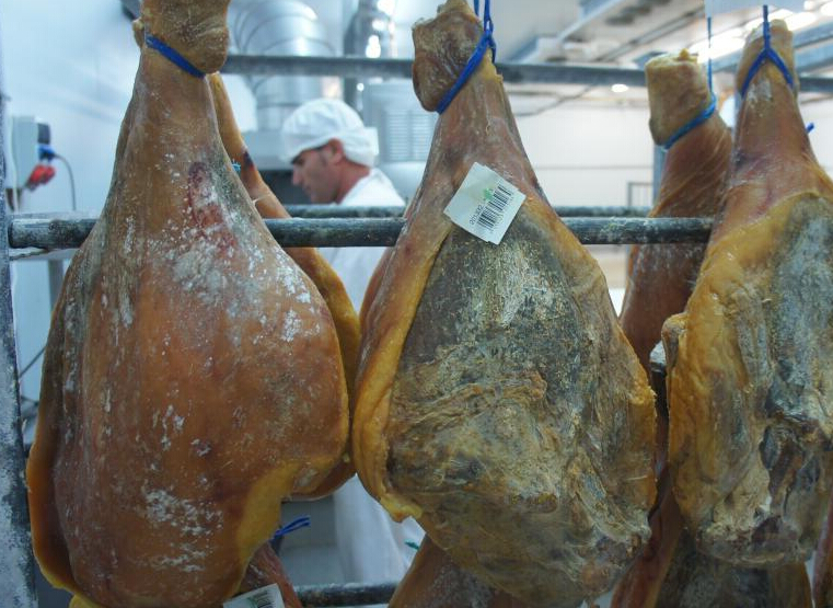 ̽�����������ȹ��� ��ѡԭ���������߱��ϡ�