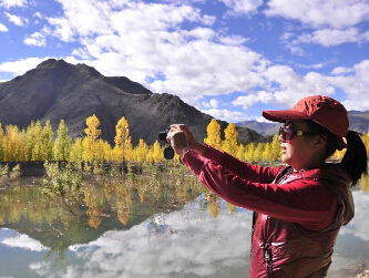 �����ӹ�����Ũ��