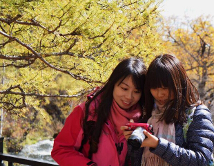 ��Ⱦ�˰��� ���ڻ����С�