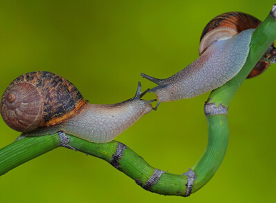 ����ͼ��30��ȫ���������գ�һ����