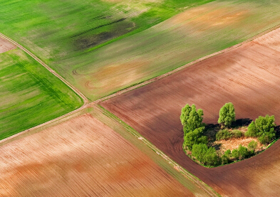 ��ͼ֮�� ��ũ�����һ��޴�����ɰ塱