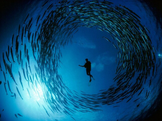 ��һֻ�ۿ�������Щ�����ˮ��˲�䡱