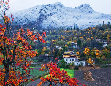 ��ȴʱ������� �����й�ʮ����������