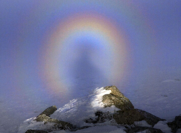 ȫ���λá��ʺ硱��� ������ۼ�����ԡ�