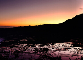 4�ַ��� ��������Ӱ���Ȼ����¸߹��밵�����ع⡱