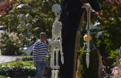 ����ŦԼ����ӭ����ʥ�ڡ�