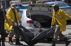 ���������������ڷ��������ʬ��