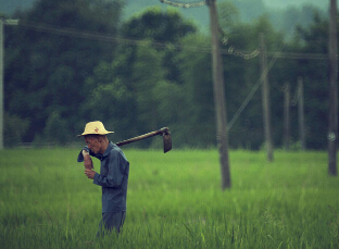 ��ʵ��Ӱ�������ﶬ�ļ�������ʫ��