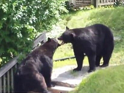 ����������ͷ����Ź�� ȭ����ҧս�����ҡ�