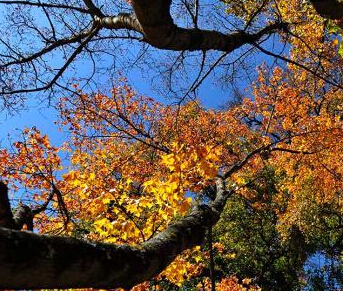 �Ĵ�������ɽ������������