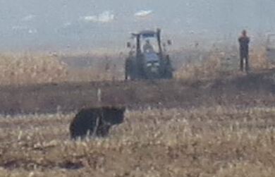 ��������ɽ������ʵ�桰�ܳ�û����