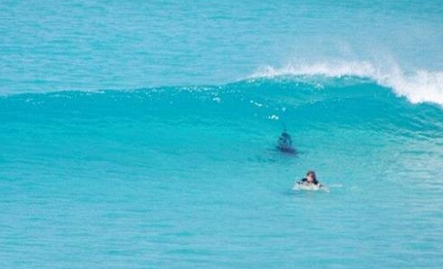 ����������3�׳������ �������뾪������