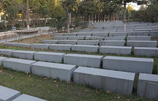 郑州绿化带景观石酷似无名墓地”