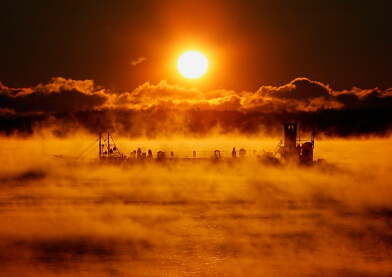 ����еı����������������͡�