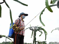 �������塱��ũ�ҡ�