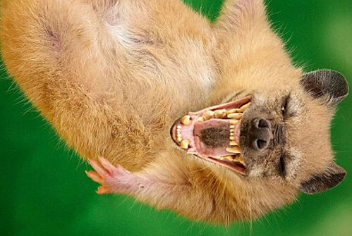 ����������PS���ӽ���������Ƭ ����"ج�ζ���԰"��