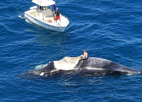 �Ĵ�����һ���������������Ϻ�����Χ����