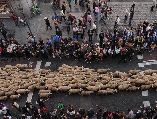 ��������Ⱥ������ ������������������Ǩ�ƹŵ���