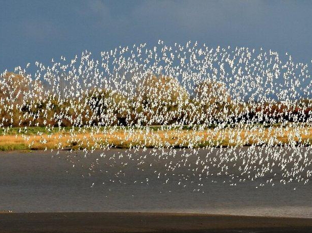 Ӣ����Ӱʦ������ȺЭ������׳����