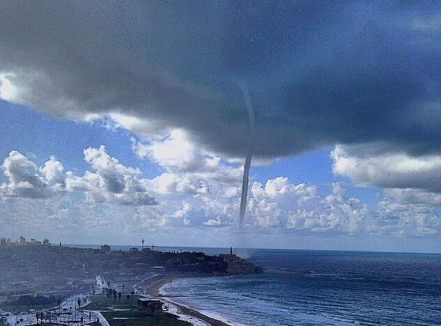 ��ɫ�г��ֺ��������� ����׳�ۡ�