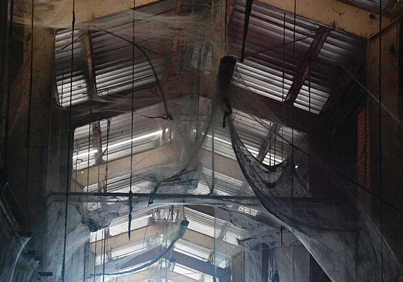 ������ˮ��������֩������ ������1��ֻ��