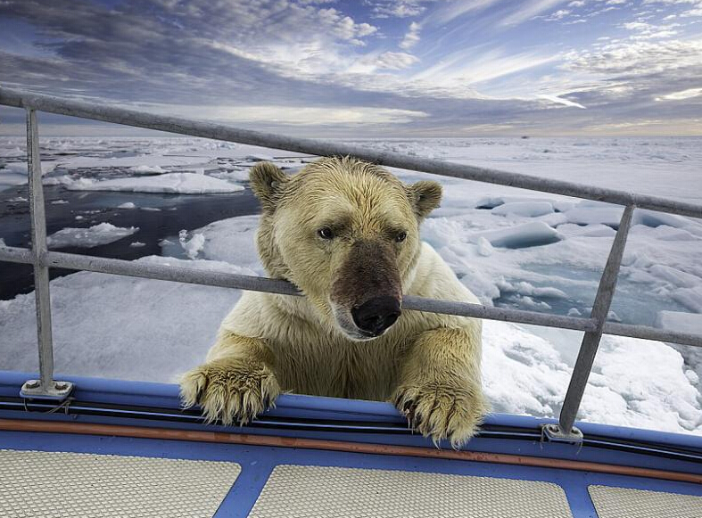 ��Ӱʦ�ĵ������ܷ�ʳ���� ����Ѫ�����Ǵ���