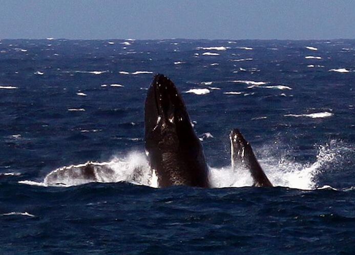 ��ͷ��Ծ������ˮ��˲�䡱