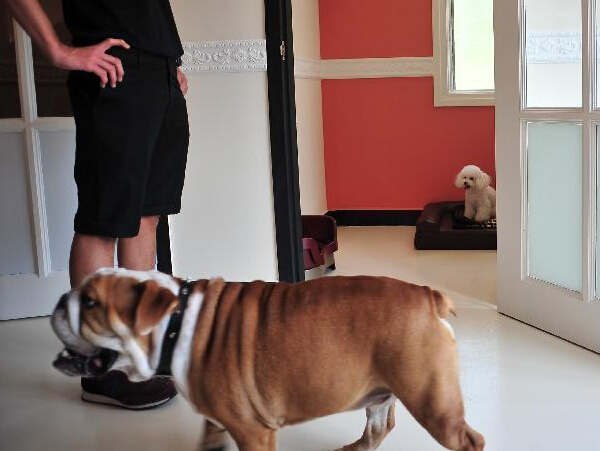 �¼����׼ҳ�������Ƶ꿪ҵ��