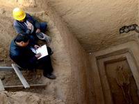 ���壺������֣���ִ���ս��Ĺ��Ⱥ��