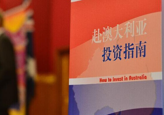 �����Ĵ�����Ͷ��ָ�ϡ��ڰķ�����