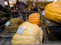 ���ô��92��ʼҶ���ũҵ�������ڶ��׶���С�