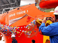 �����й�����֪ʶ��Ȩ��꾮�����Ϻ�������