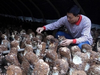 ʮ�ߣ�СĢ�������ҵ��