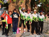 ɽ��۰�ǣ�3000�ꡰ����������������