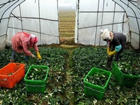 �����賤�����ô�����������⿪�� ����