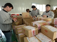 ���̱���ӭս��˫ʮһ����