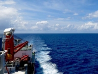 ��ѩ�����Ž���Ĵ����Ǻ���