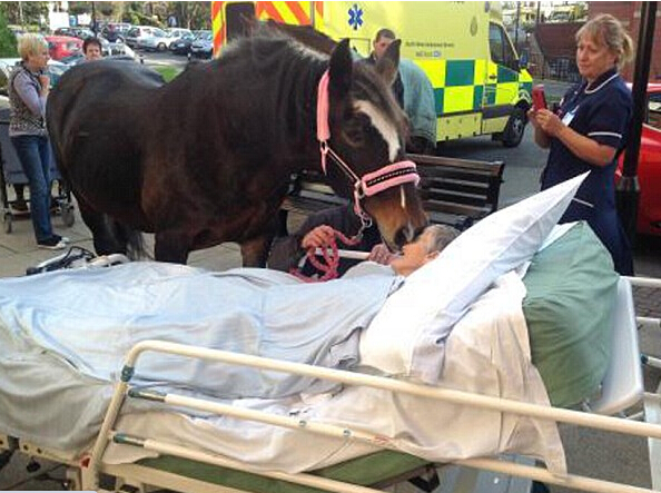 ���������밮�����ǰ�������